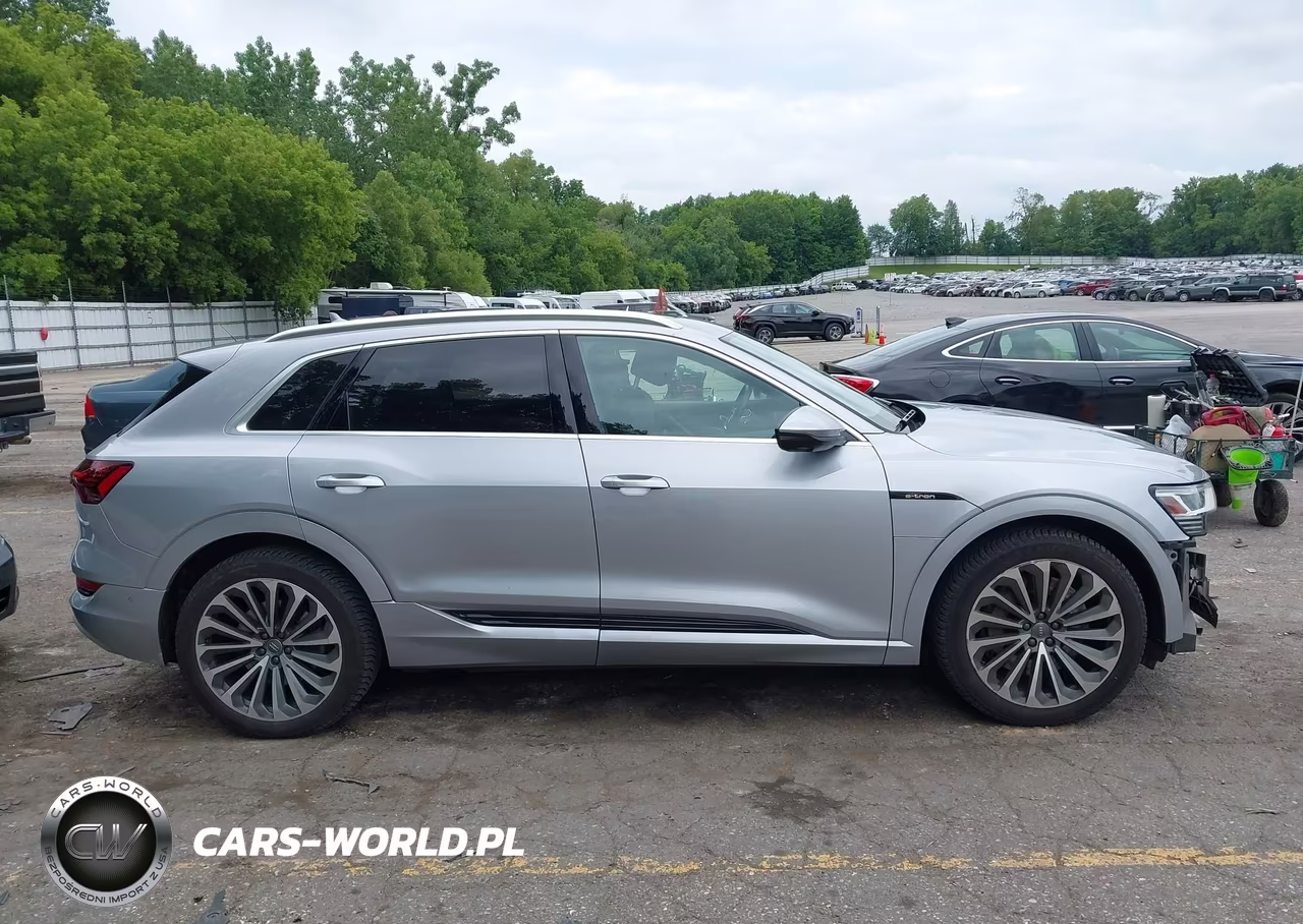 2019 Audi E-Tron Premium Plus VIN:WA1VAAGE6KB024895 - 13