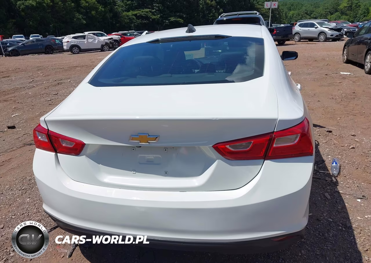 2020 Chevrolet Malibu Fwd Ls VIN:1G1ZB5ST9LF017007 - 16