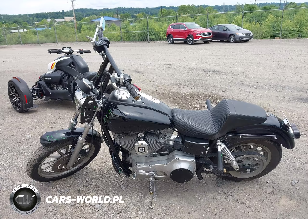 2004 Harley-Davidson Fxdi VIN:1HD1GMW164K325736 - 13