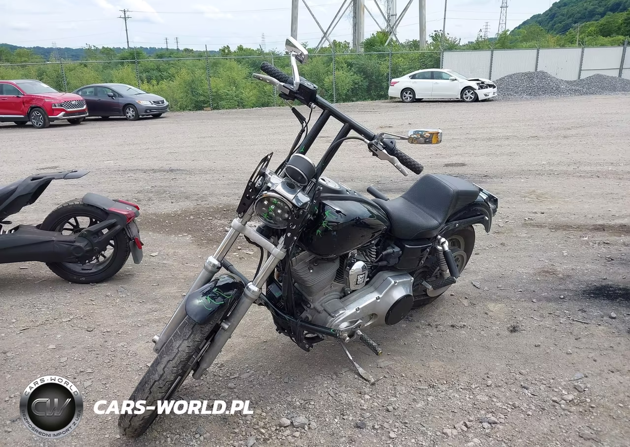 2004 Harley-Davidson Fxdi VIN:1HD1GMW164K325736 - 2