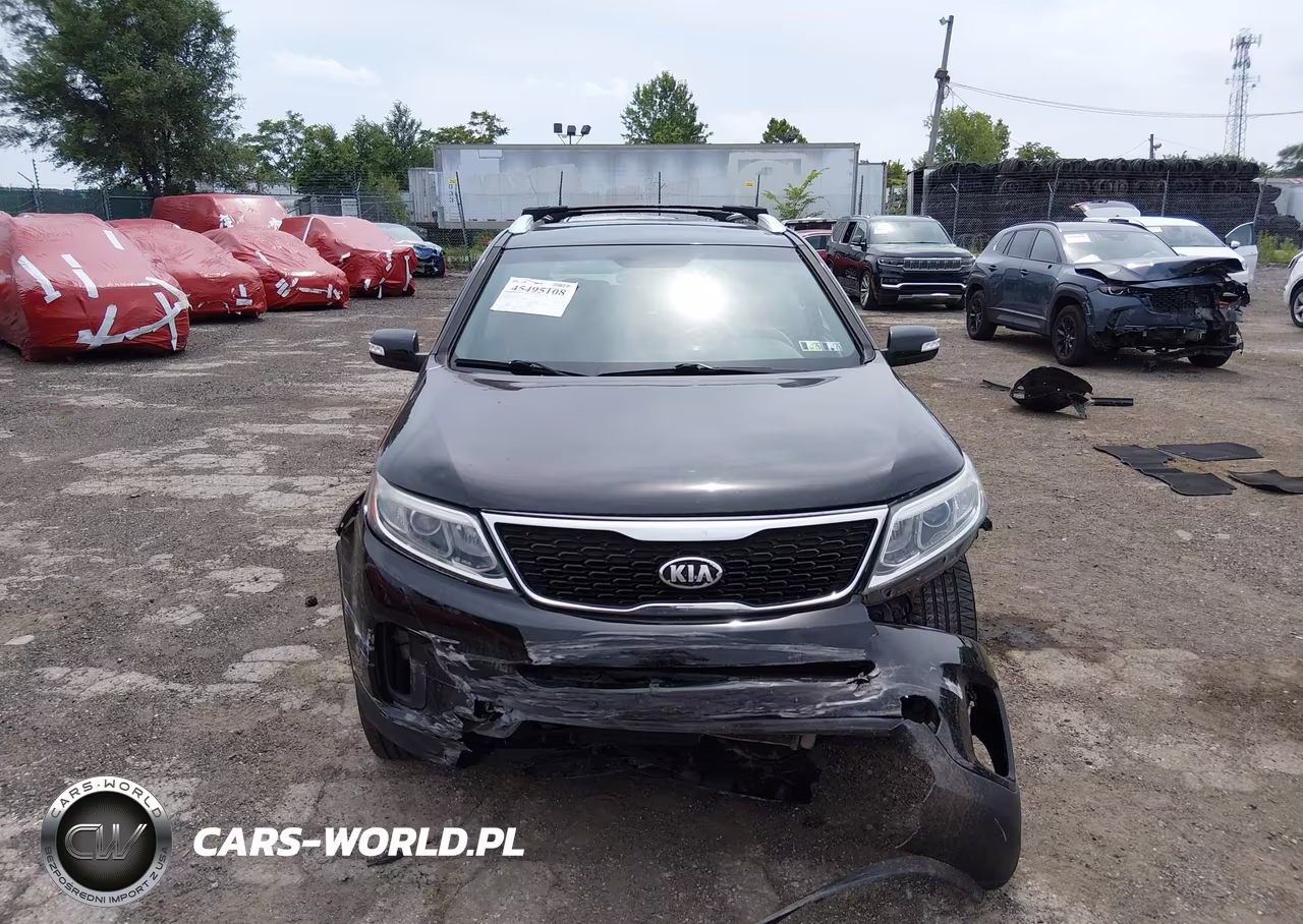 2014 Kia Sorento Lx VIN:5XYKT4A65EG427623 - 12