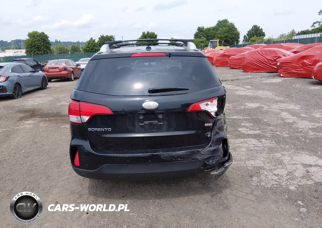 2014 Kia Sorento Lx VIN:5XYKT4A65EG427623 - 16
