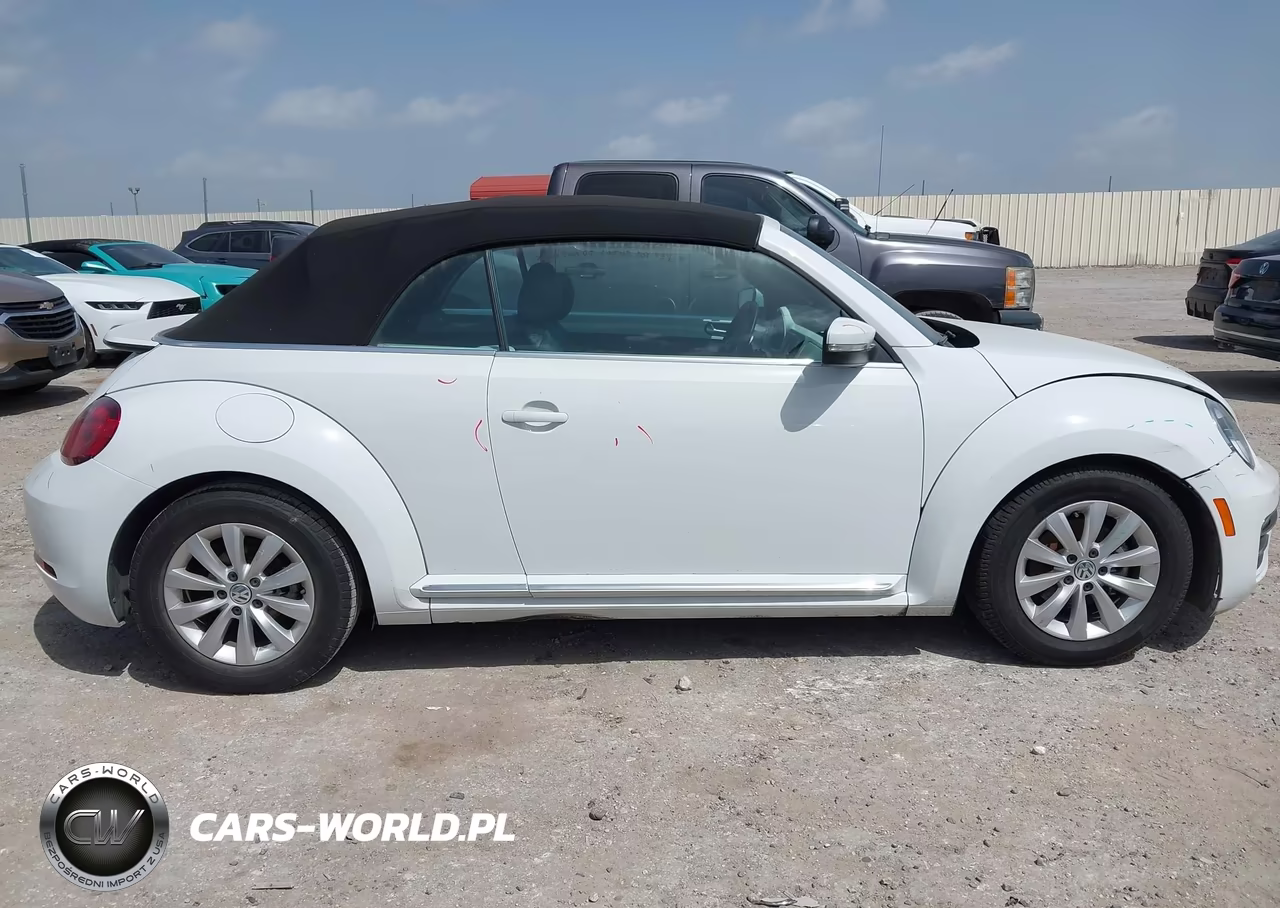 2018 Volkswagen Beetle 2.0T Coast-2.0T S-2.0T Se VIN:3VW5DAAT9JM505085 - 12