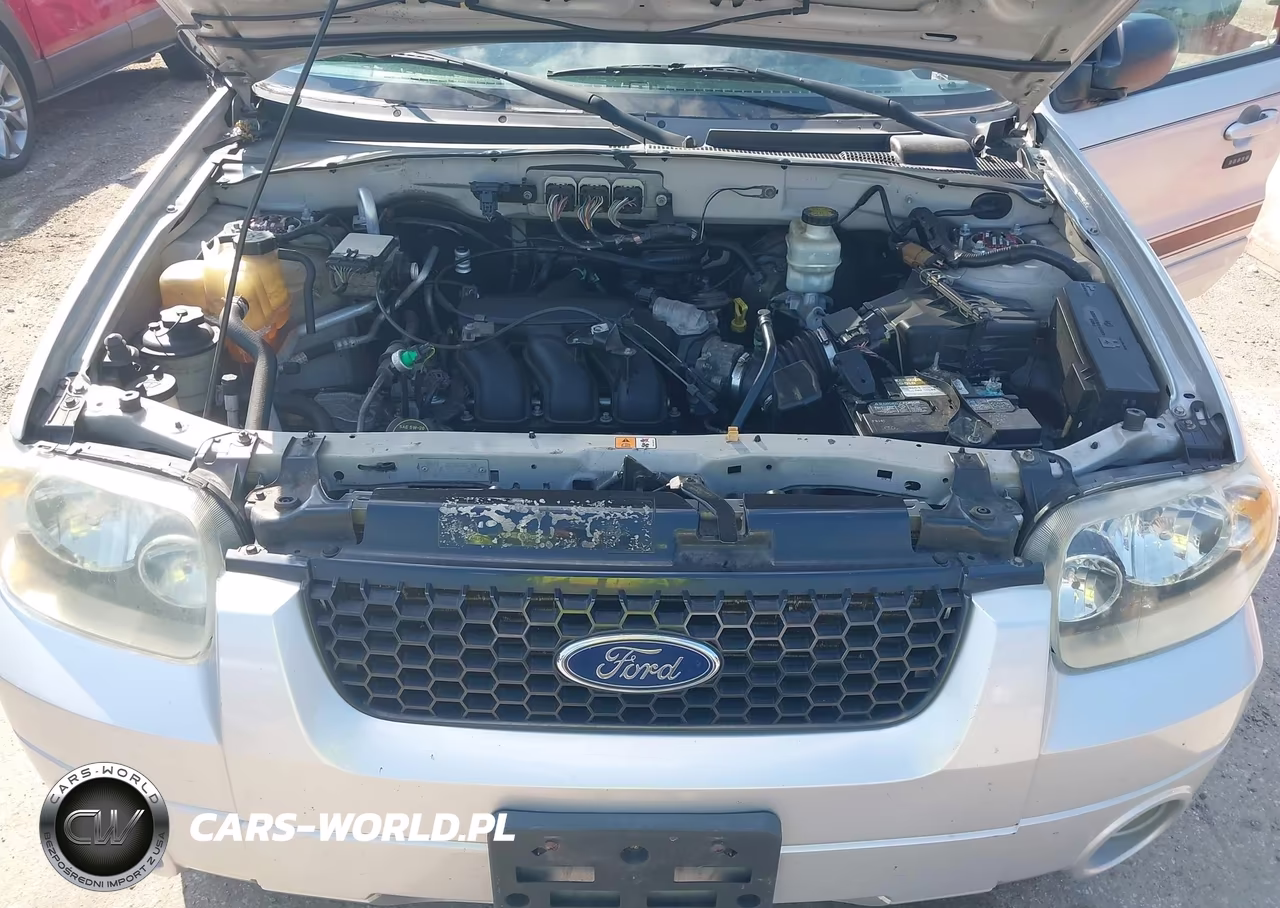 2006 Ford Escape Limited VIN:1FMYU94106KD24167 - 10