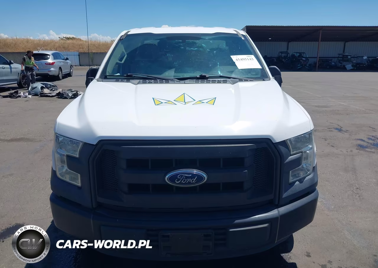 2016 Ford F-150 Xl-Xlt VIN:1FTMF1C88GKD05302 - 12