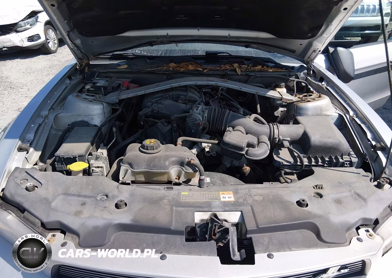 2012 Ford Mustang V6-V6 Premium VIN:1ZVBP8EM1C5244193 - 10