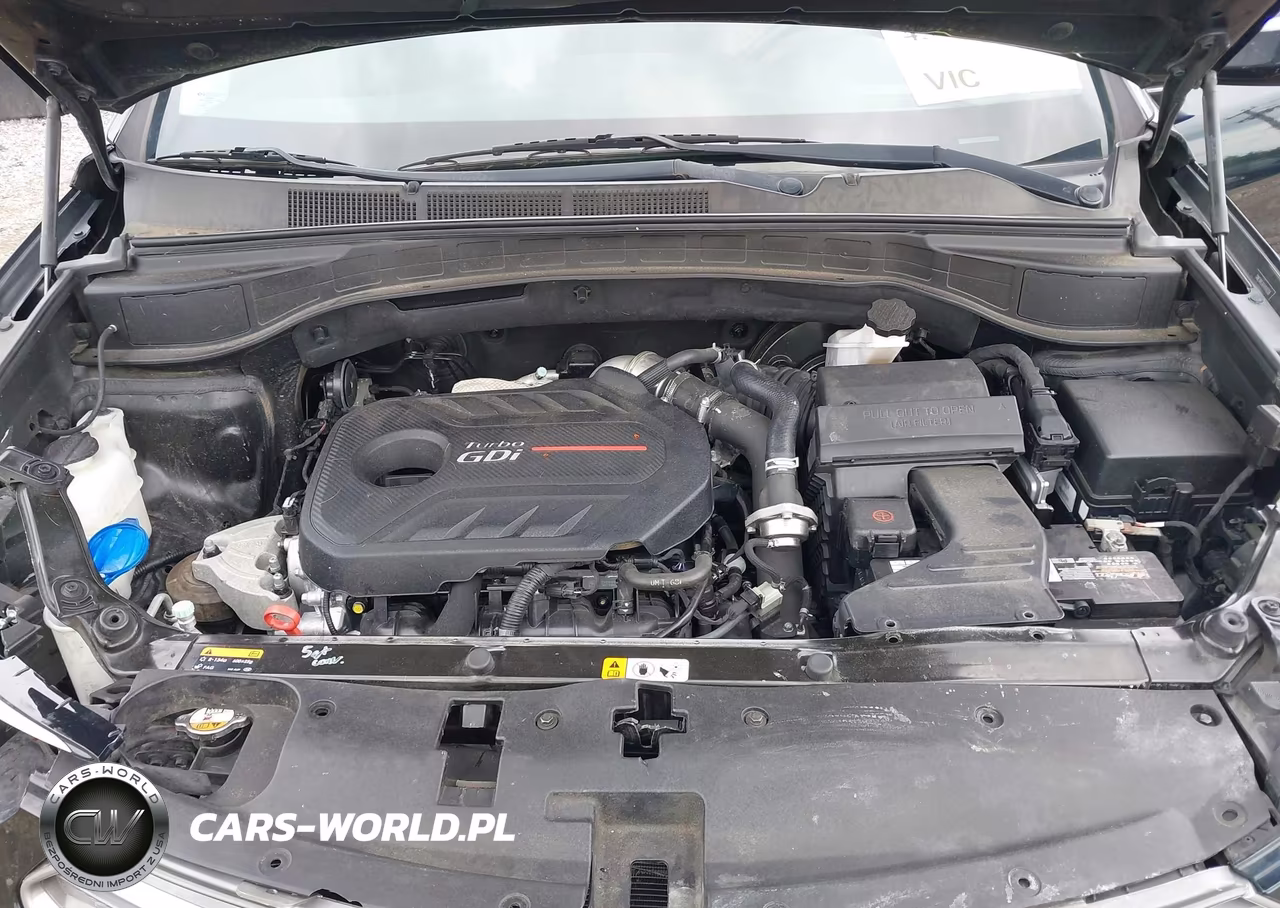 2017 Hyundai Santa Fe Sport 2.0T Ultimate VIN:5NMZW4LA6HH040306 - 10