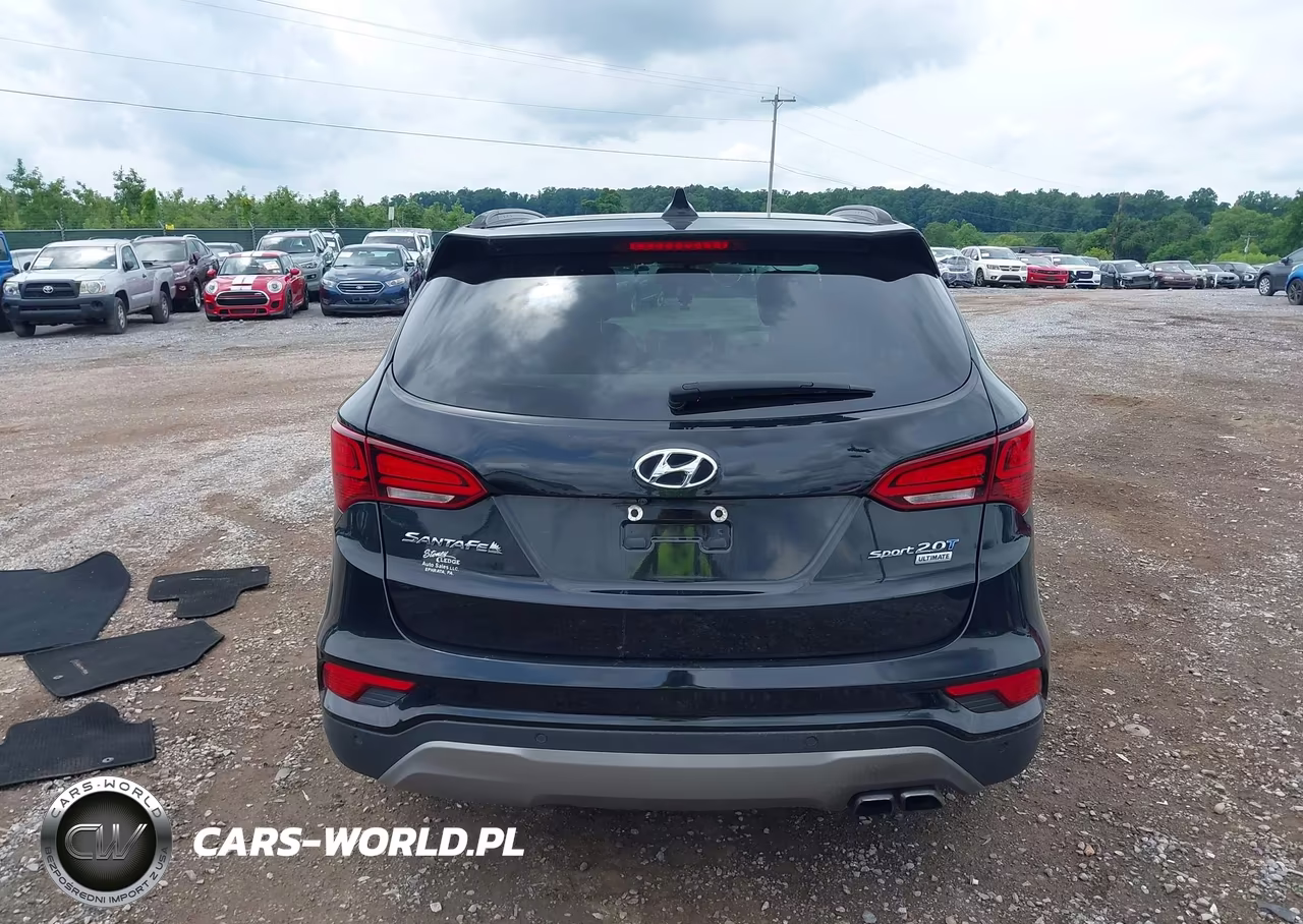 2017 Hyundai Santa Fe Sport 2.0T Ultimate VIN:5NMZW4LA6HH040306 - 16