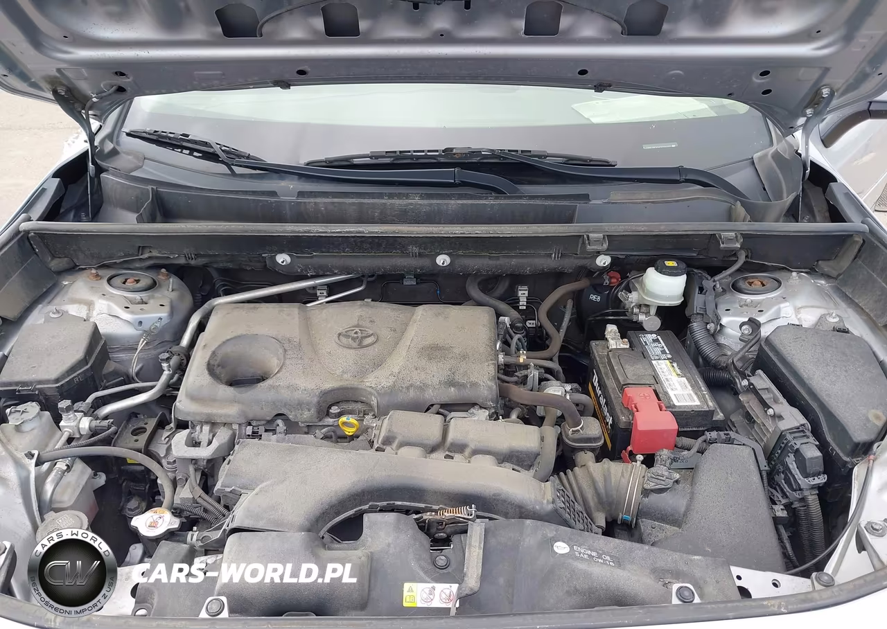 2019 Toyota Rav4 Xle Premium VIN:JTMA1RFV1KD015479 - 10