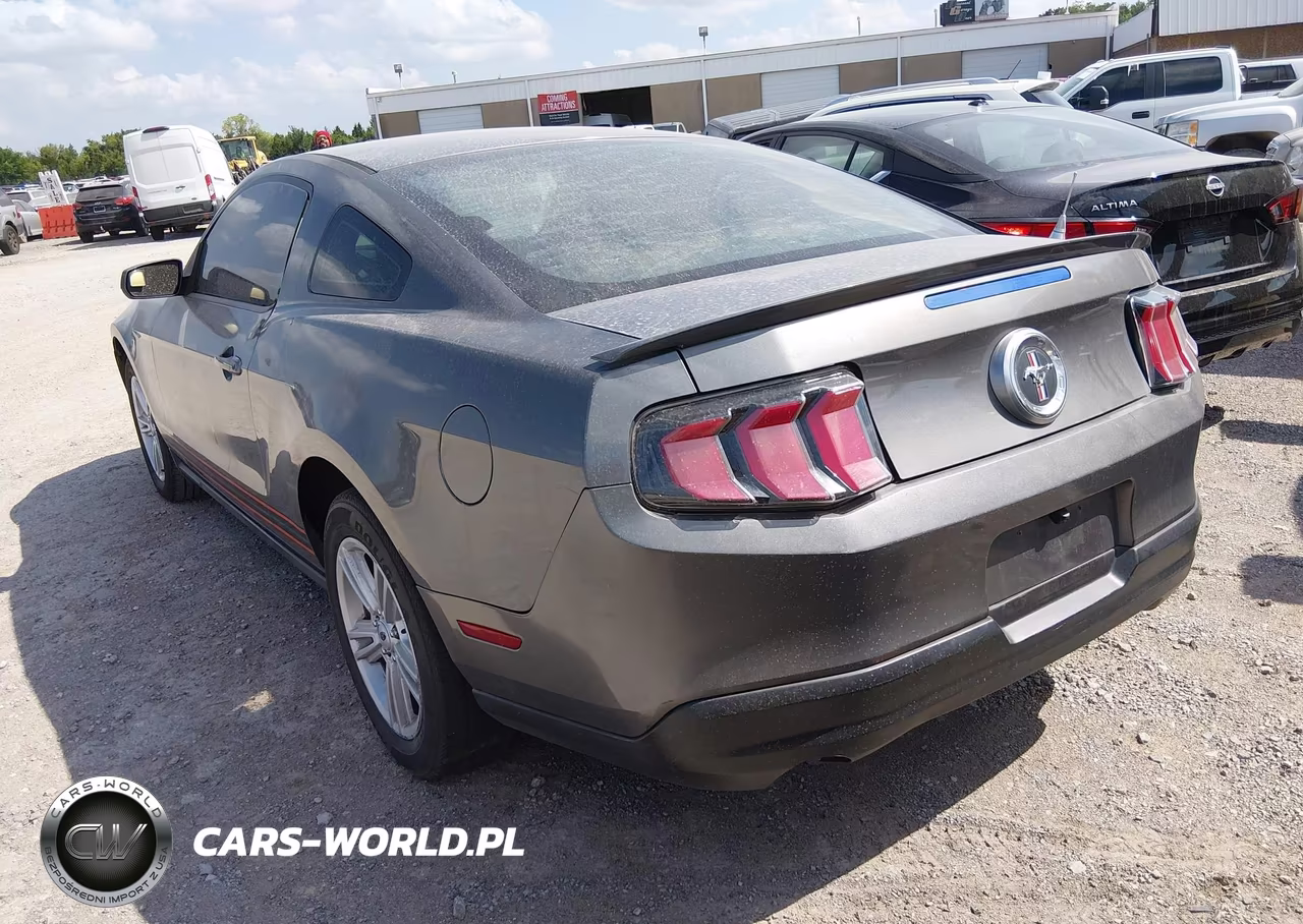2010 Ford Mustang V6-V6 Premium VIN:1ZVBP8AN2A5160279 - 3