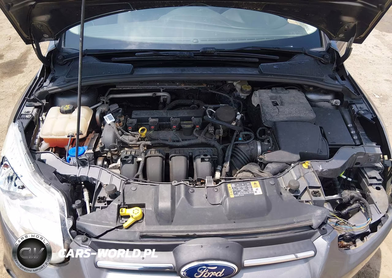 2014 Ford Focus Se VIN:1FADP3K29EL329384 - 10