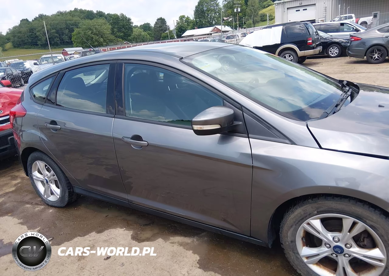2014 Ford Focus Se VIN:1FADP3K29EL329384 - 14
