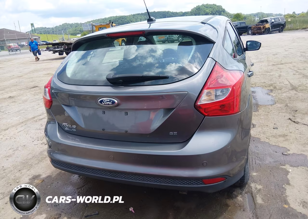 2014 Ford Focus Se VIN:1FADP3K29EL329384 - 17