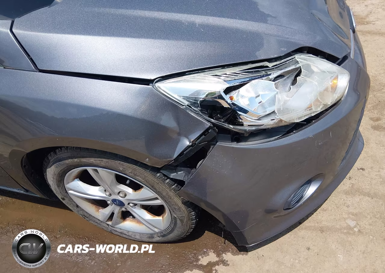 2014 Ford Focus Se VIN:1FADP3K29EL329384 - 18
