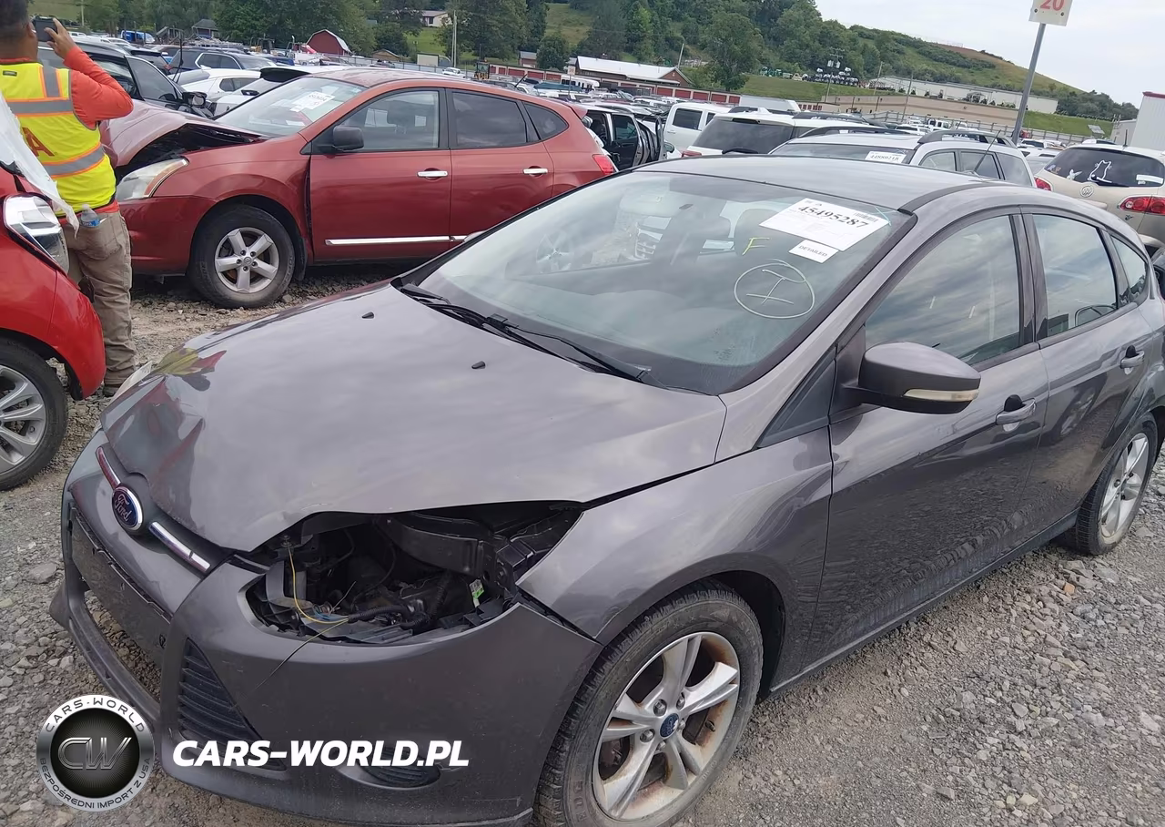 2014 Ford Focus Se VIN:1FADP3K29EL329384 - 2