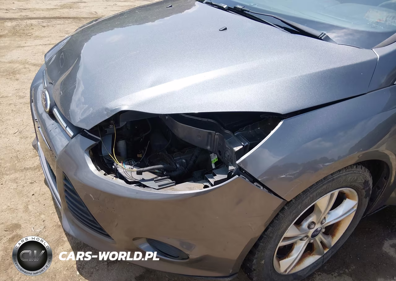 2014 Ford Focus Se VIN:1FADP3K29EL329384 - 6
