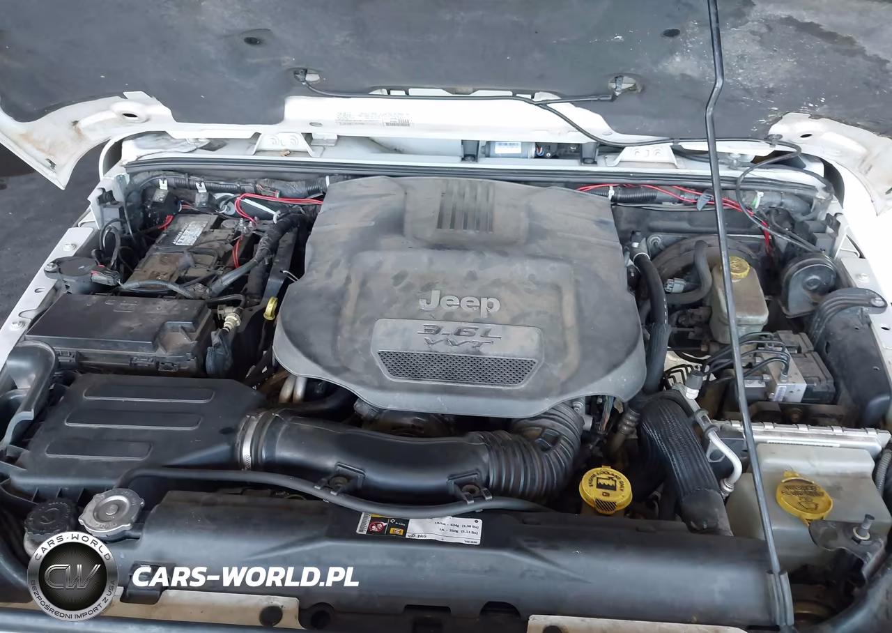 2015 Jeep Wrangler Unlimited Rubicon VIN:1C4BJWFG9FL531217 - 10