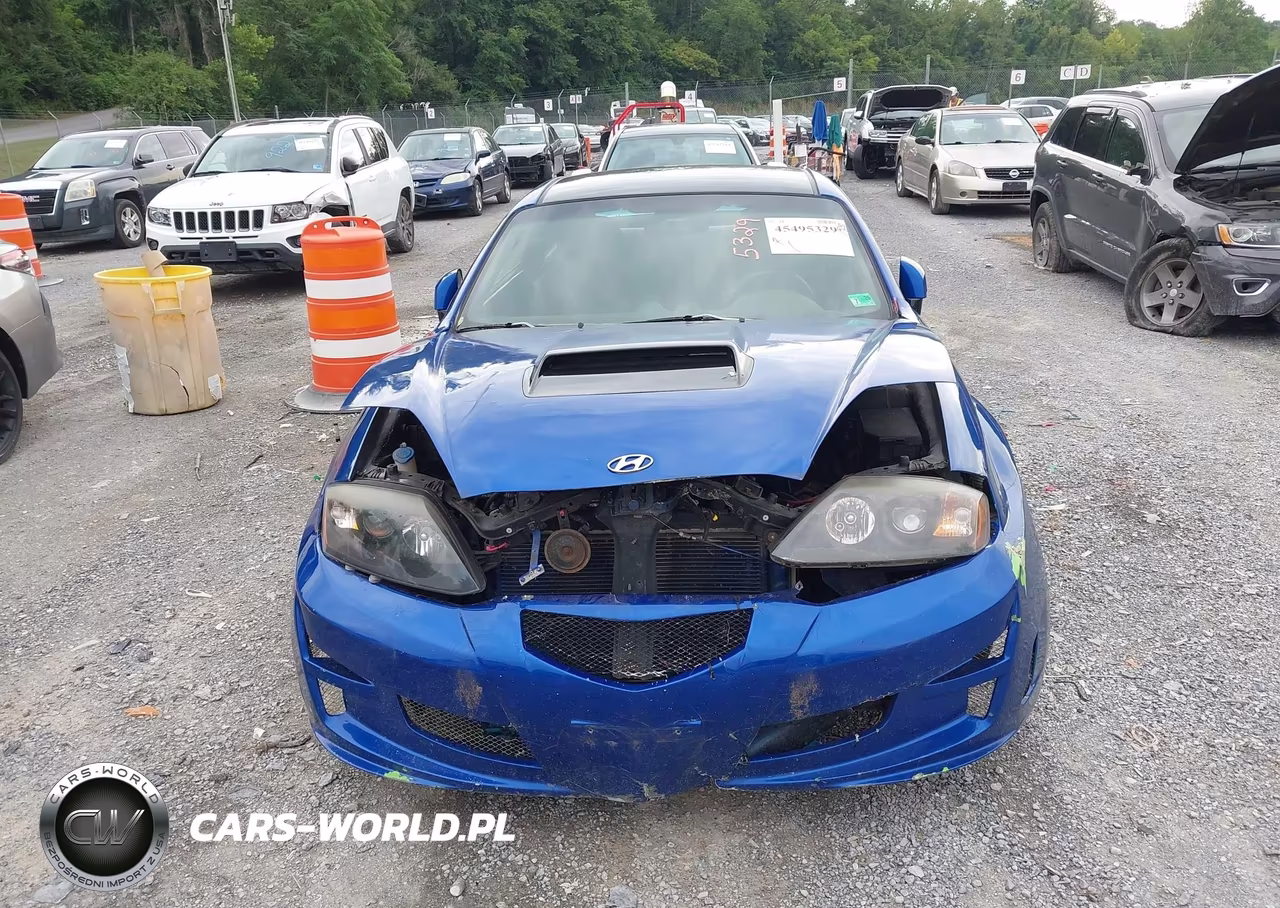 2003 Hyundai Tiburon Gt V6 VIN:KMHHN65F43U076222 - 12