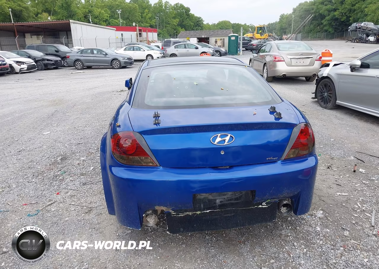 2003 Hyundai Tiburon Gt V6 VIN:KMHHN65F43U076222 - 16