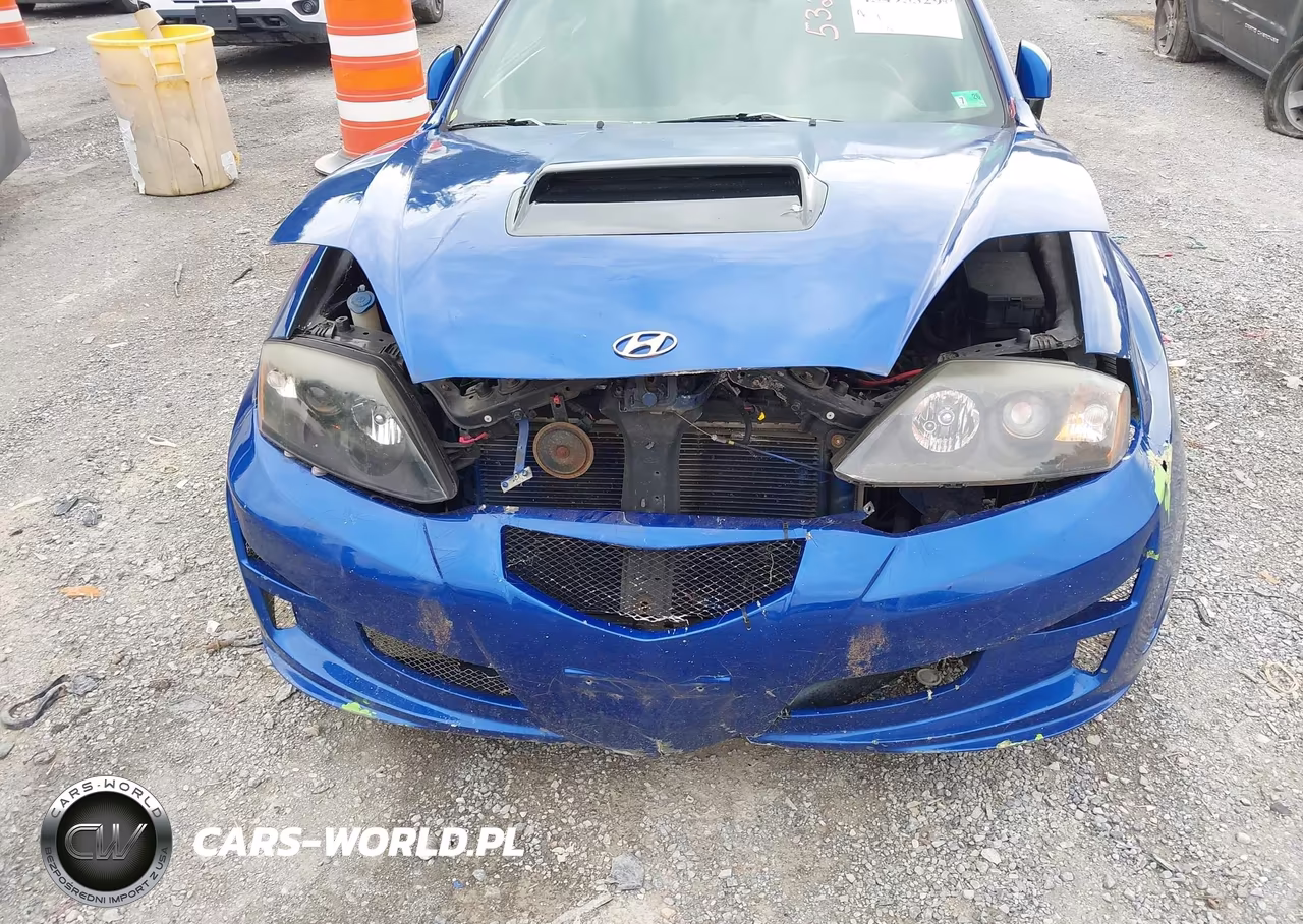 2003 Hyundai Tiburon Gt V6 VIN:KMHHN65F43U076222 - 6