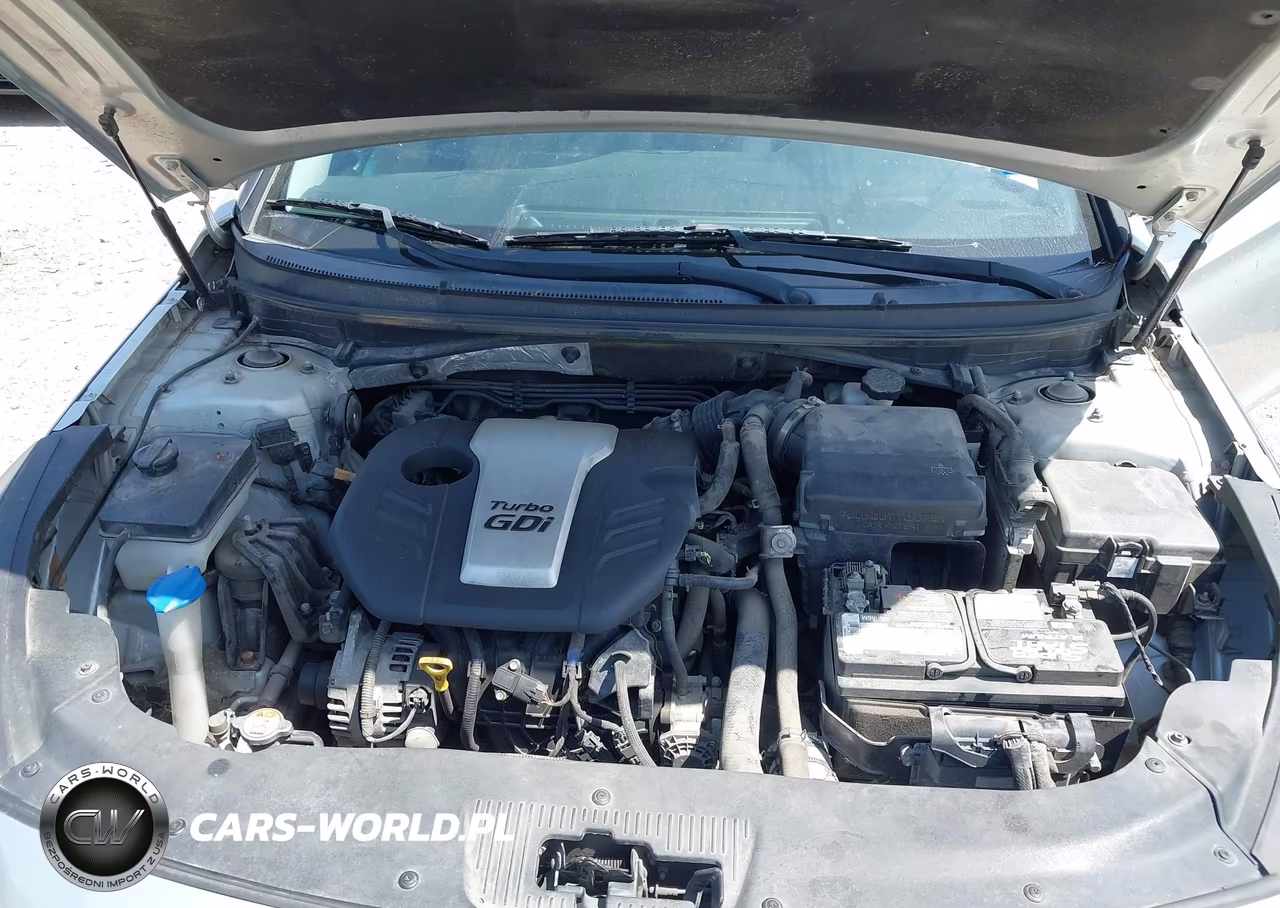 2016 Hyundai Sonata Eco VIN:5NPE24AA3GH422758 - 10