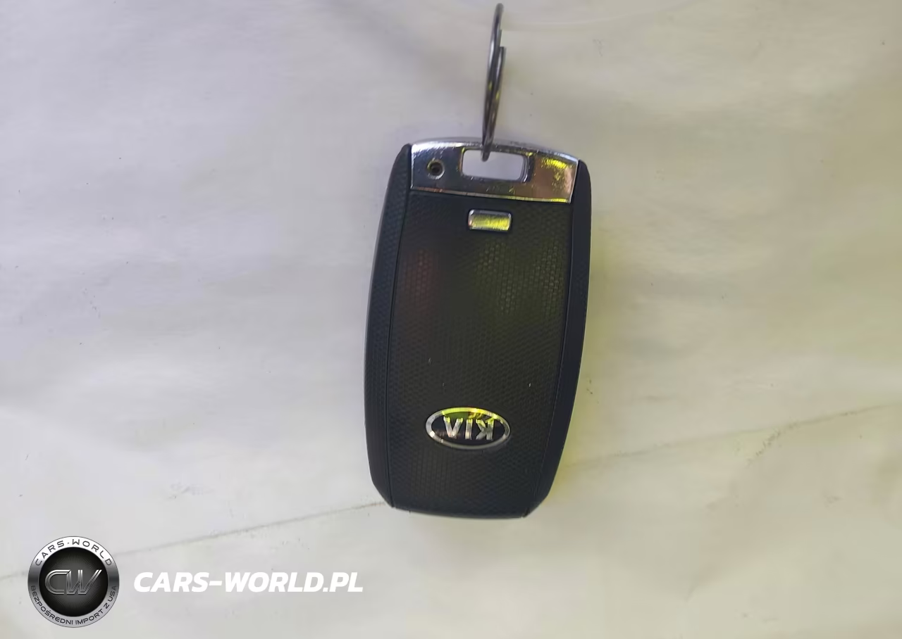 2014 Kia Optima Ex VIN:5XXGN4A73EG283549 - 11