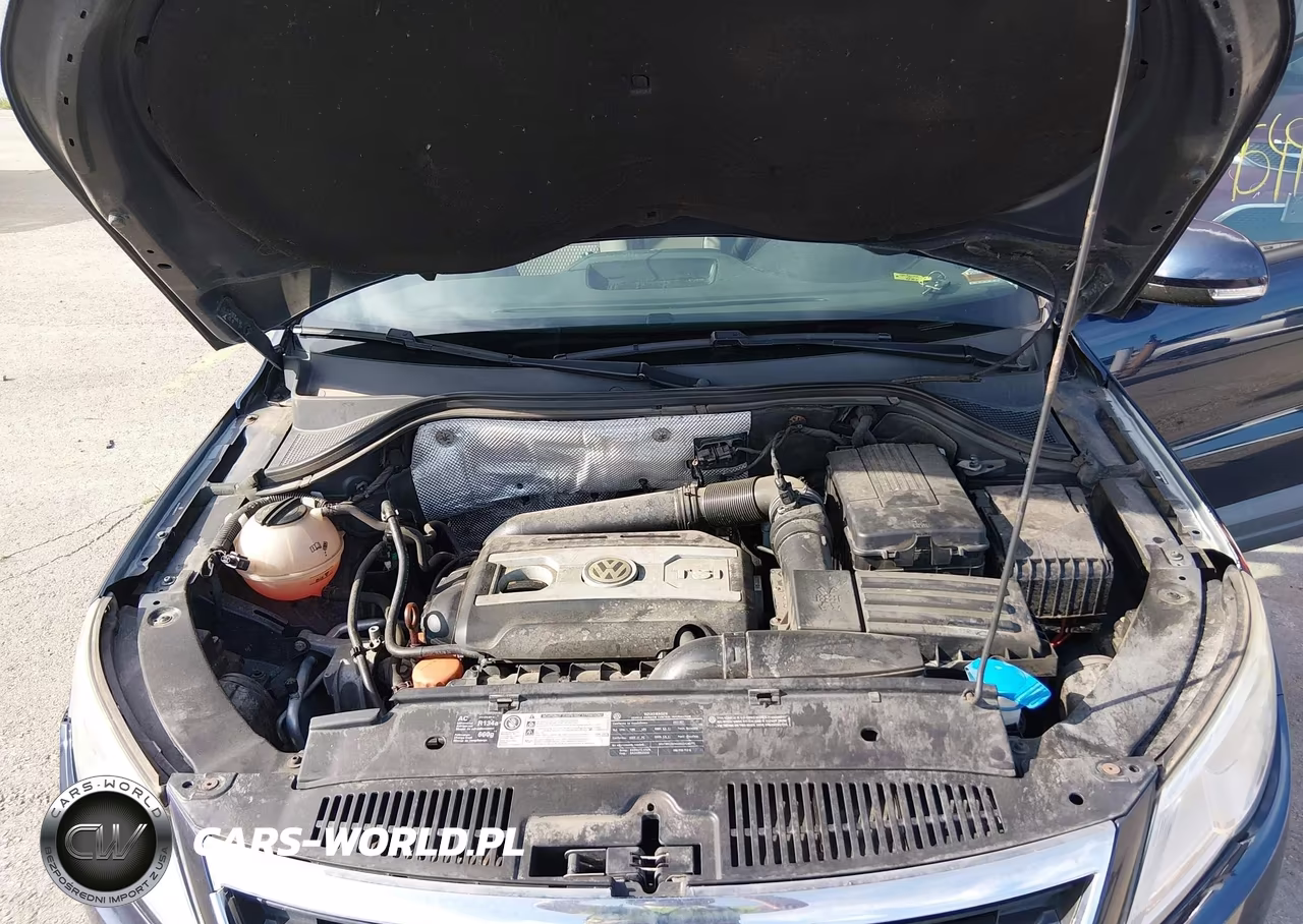 2011 Volkswagen Tiguan S VIN:WVGBV7AXXBW536125 - 10