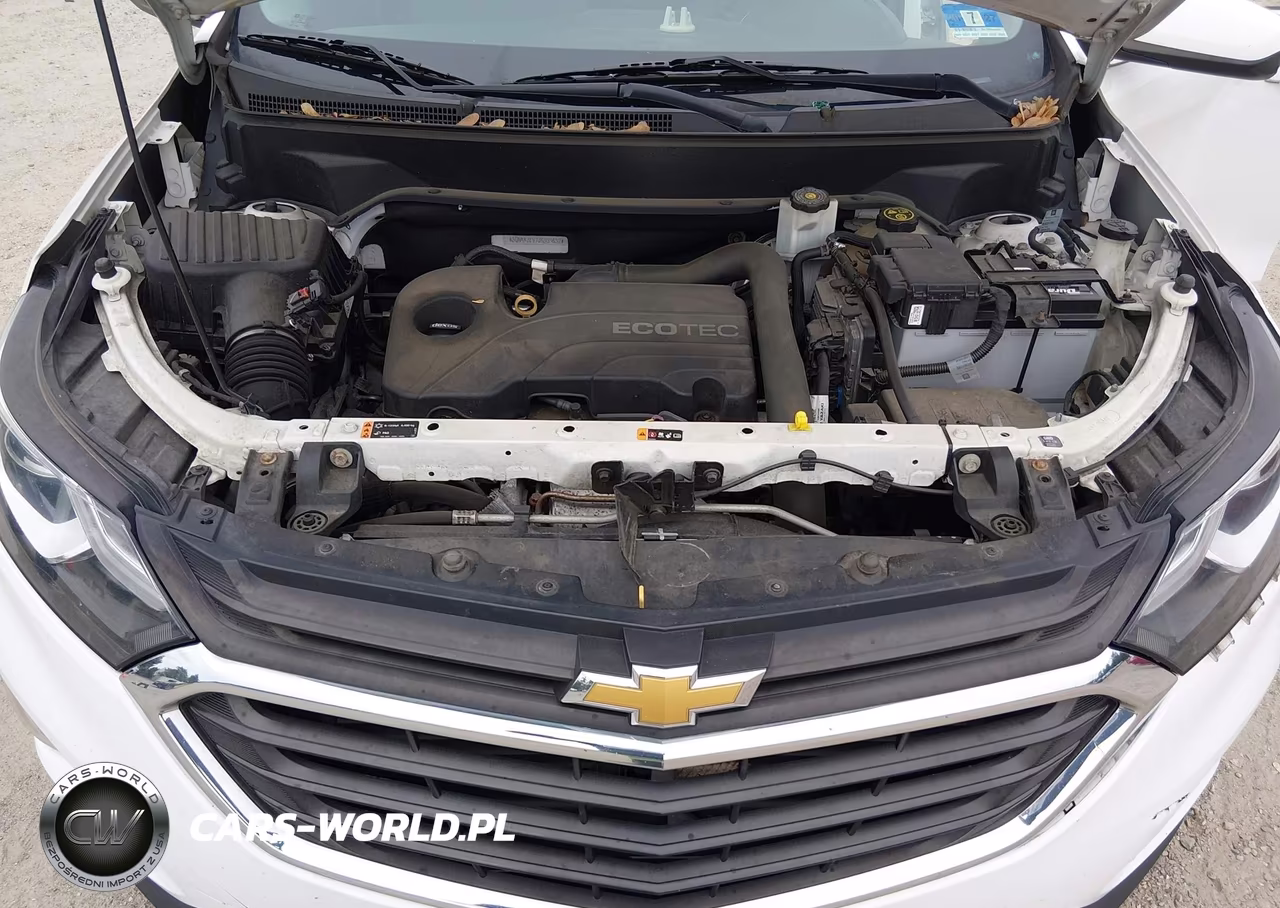 2018 Chevrolet Equinox Lt VIN:3GNAXJEV7JS539632 - 10