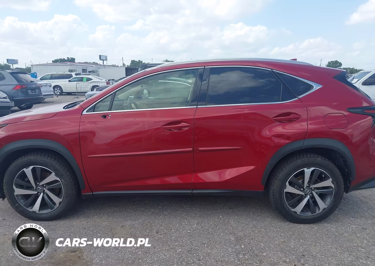2018 Lexus Nx 300 VIN:JTJBARBZ0J2164373 - 13