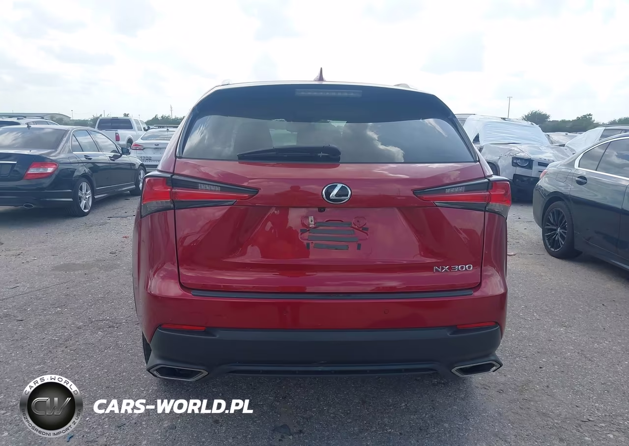 2018 Lexus Nx 300 VIN:JTJBARBZ0J2164373 - 15