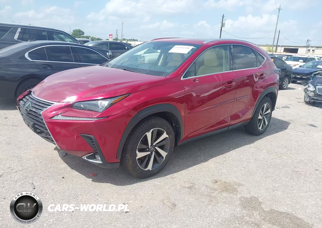 2018 Lexus Nx 300 VIN:JTJBARBZ0J2164373 - 2