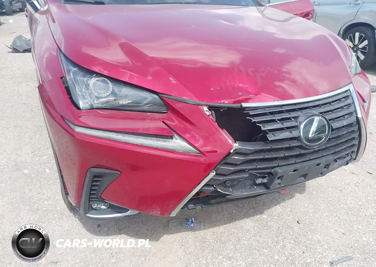2018 Lexus Nx 300 VIN:JTJBARBZ0J2164373 - 6