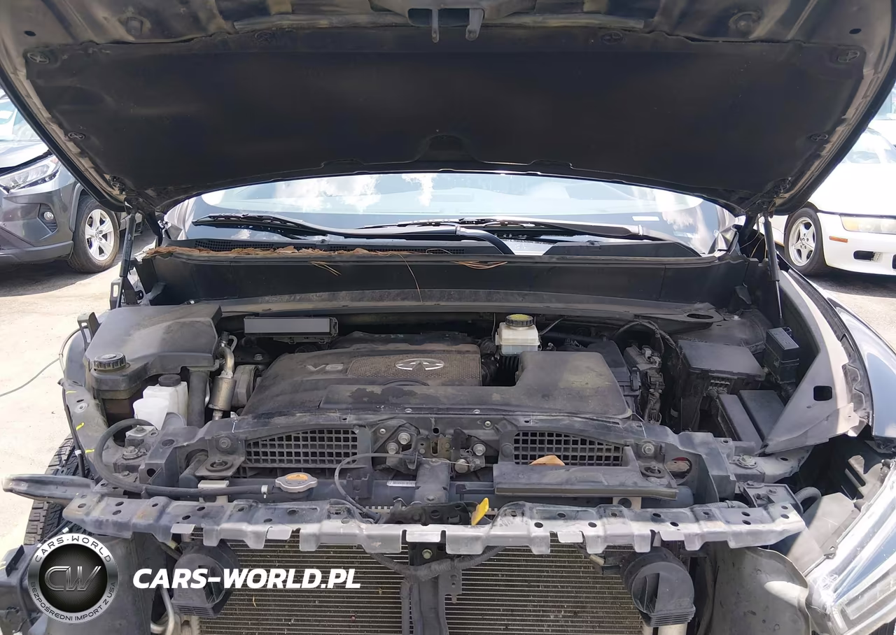 2020 Infiniti Qx60 Pure VIN:5N1DL0MN8LC532562 - 10