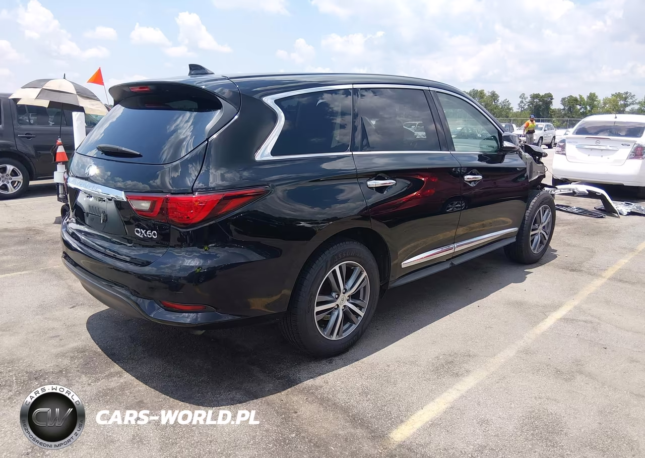 2020 Infiniti Qx60 Pure VIN:5N1DL0MN8LC532562 - 4