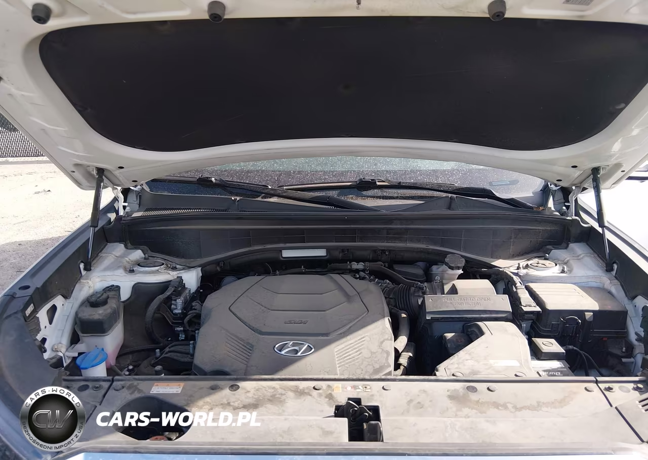 2021 Hyundai Palisade Calligraphy VIN:KM8R74HE5MU267431 - 10