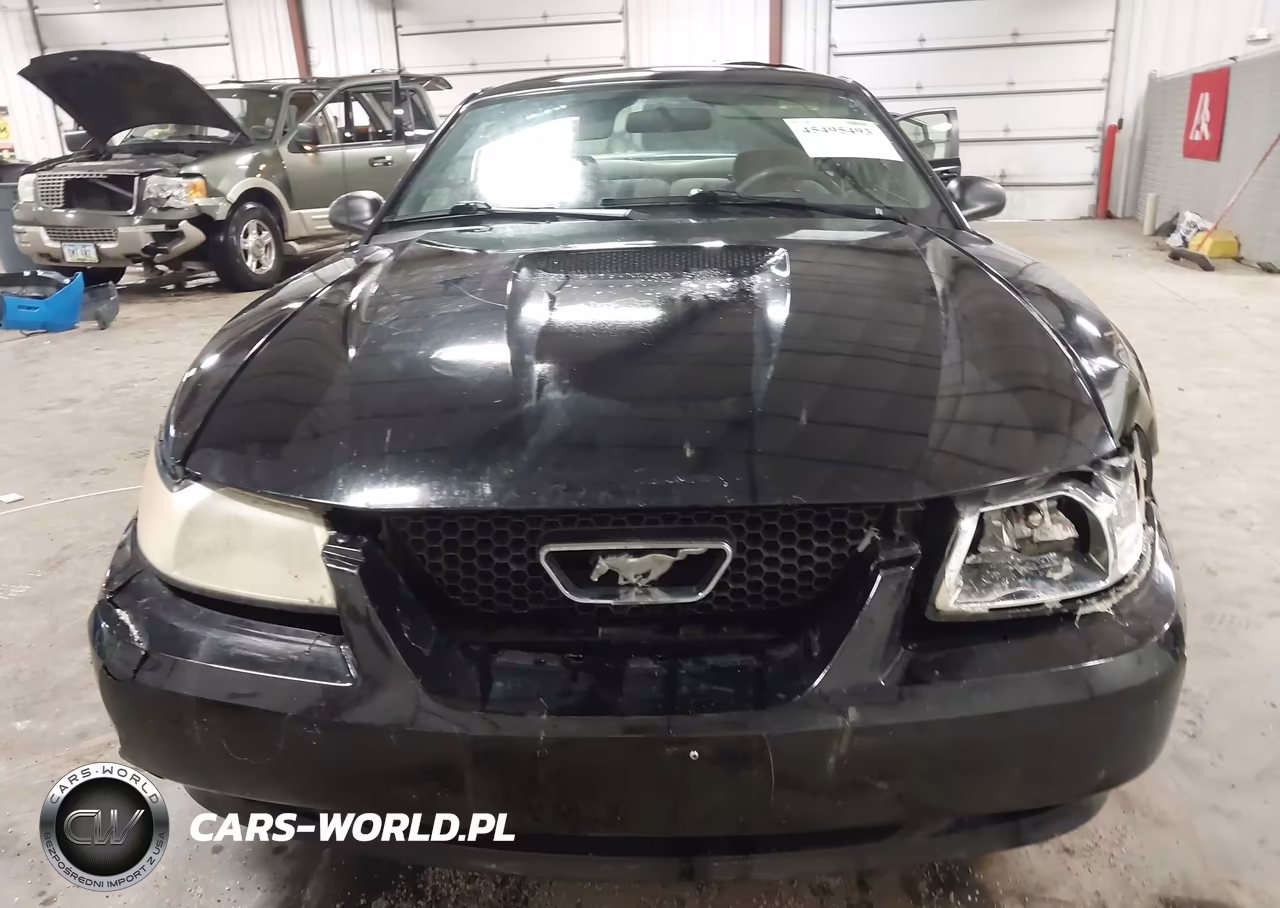 1999 Ford Mustang VIN:1FAFP4049XF222002 - 12