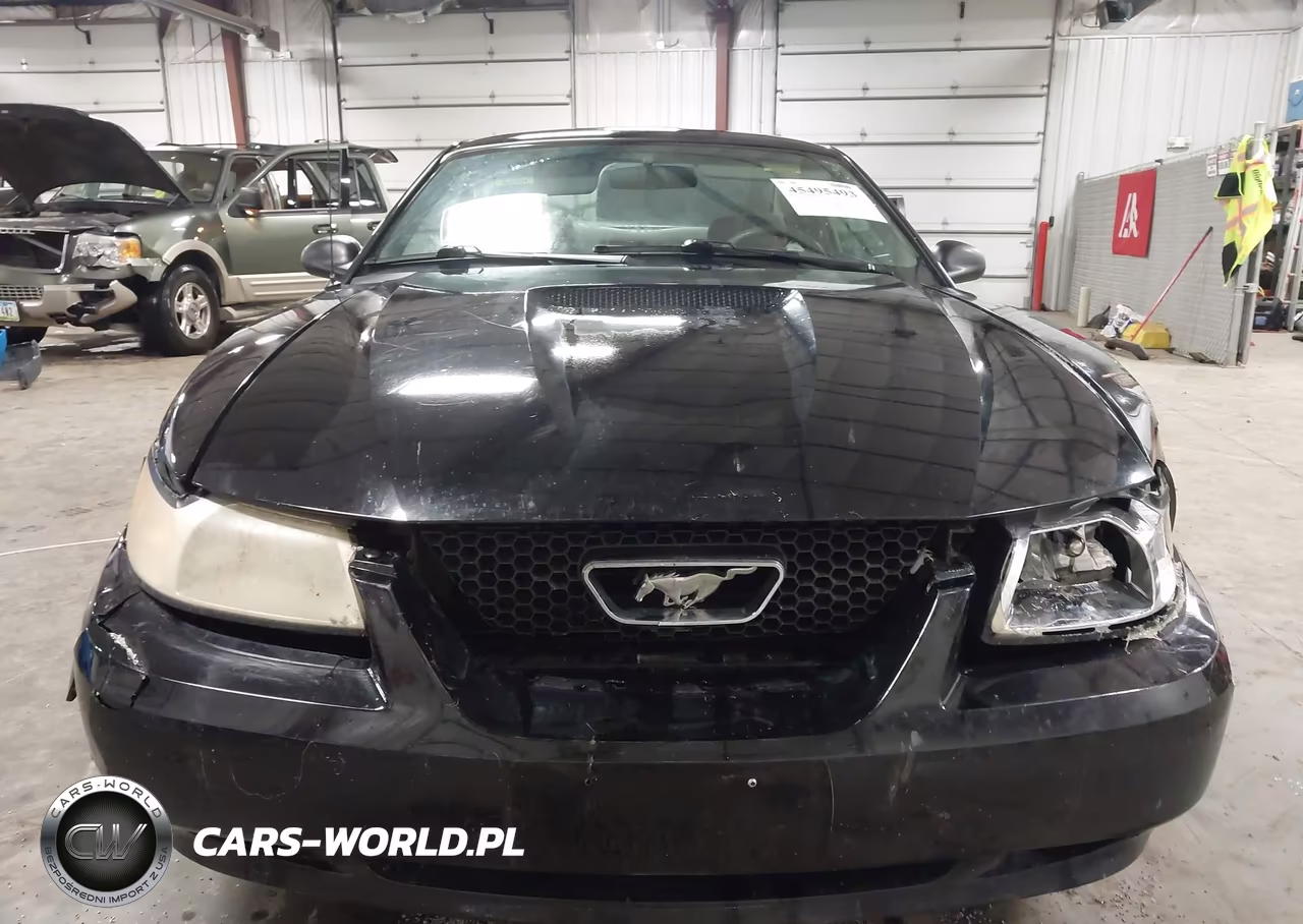 1999 Ford Mustang VIN:1FAFP4049XF222002 - 6