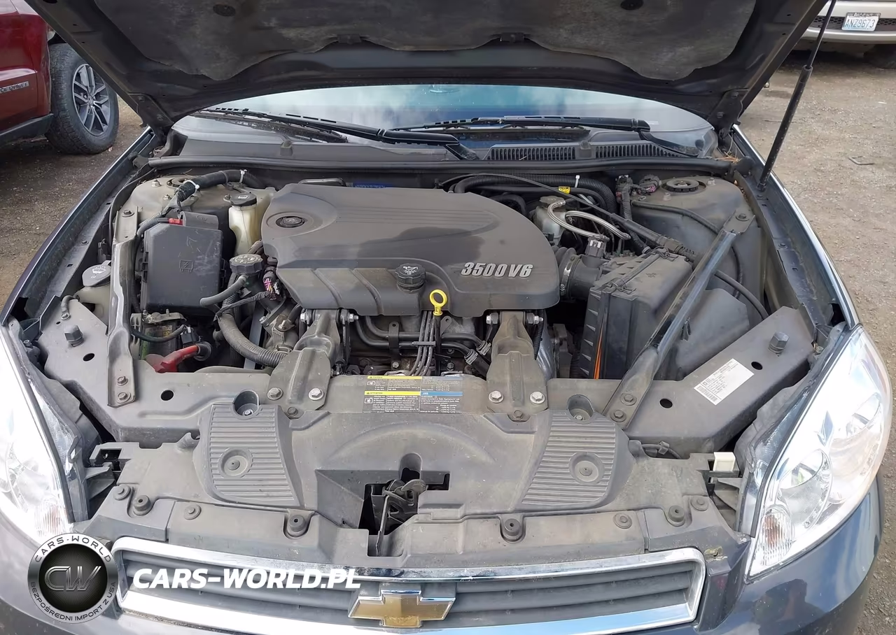 2009 Chevrolet Impala Lt VIN:2G1WT57K791198463 - 10