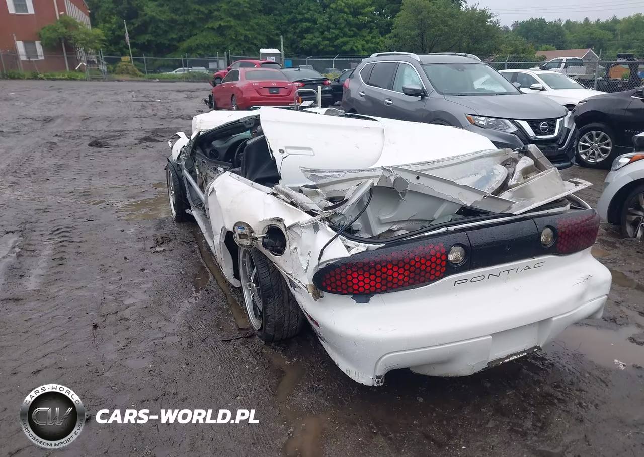 2000 Pontiac Firebird Trans Am VIN:2G2FV32G6Y2129902 - 3