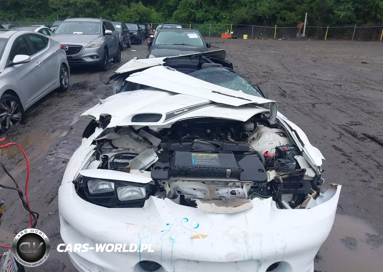 2000 Pontiac Firebird Trans Am VIN:2G2FV32G6Y2129902 - 6