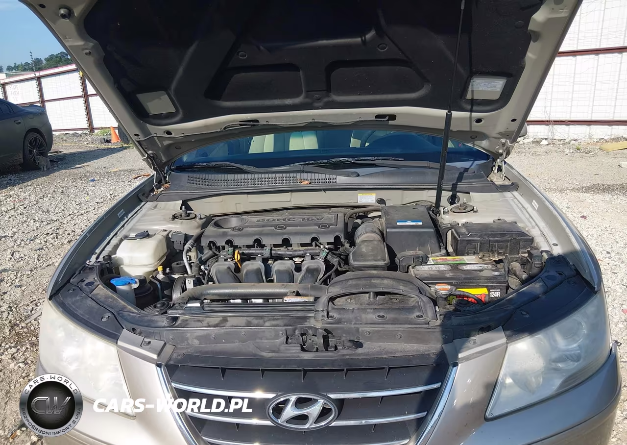2010 Hyundai Sonata Gls VIN:5NPET4ACXAH592265 - 10
