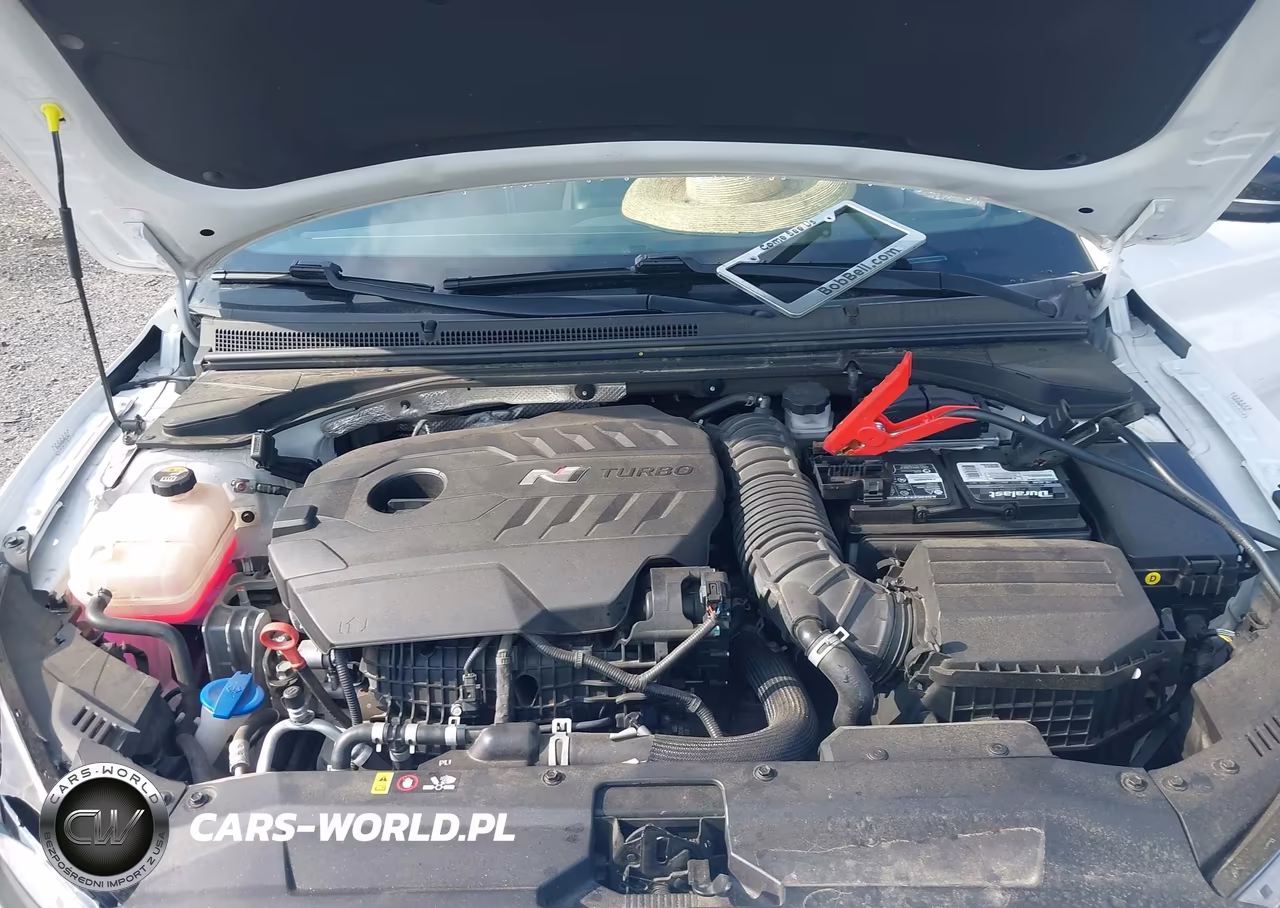 2021 Hyundai Veloster N VIN:KMHT36AH8MU010443 - 10