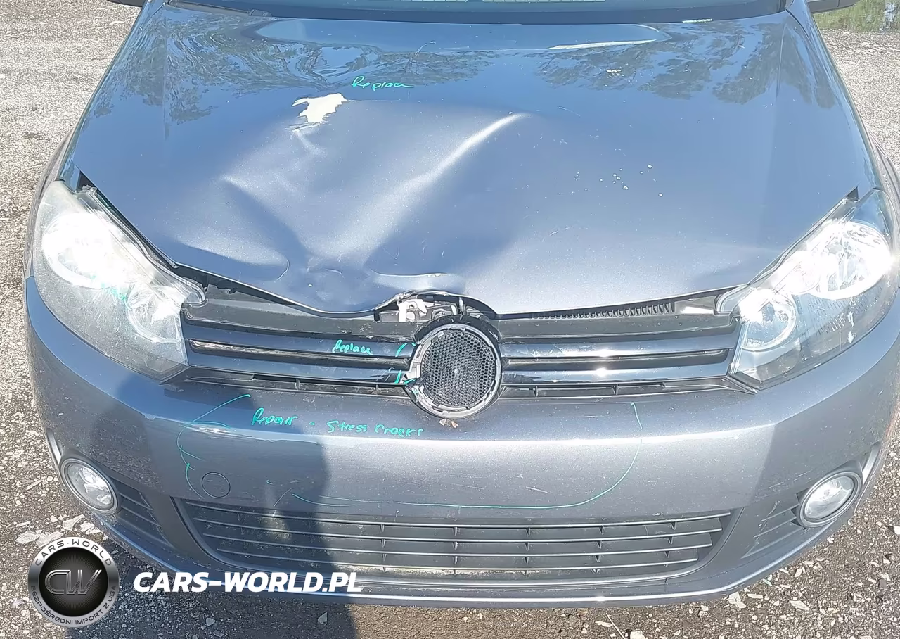 2011 Volkswagen Golf Tdi 2-Door VIN:WVWMM7AJ1BW324824 - 6
