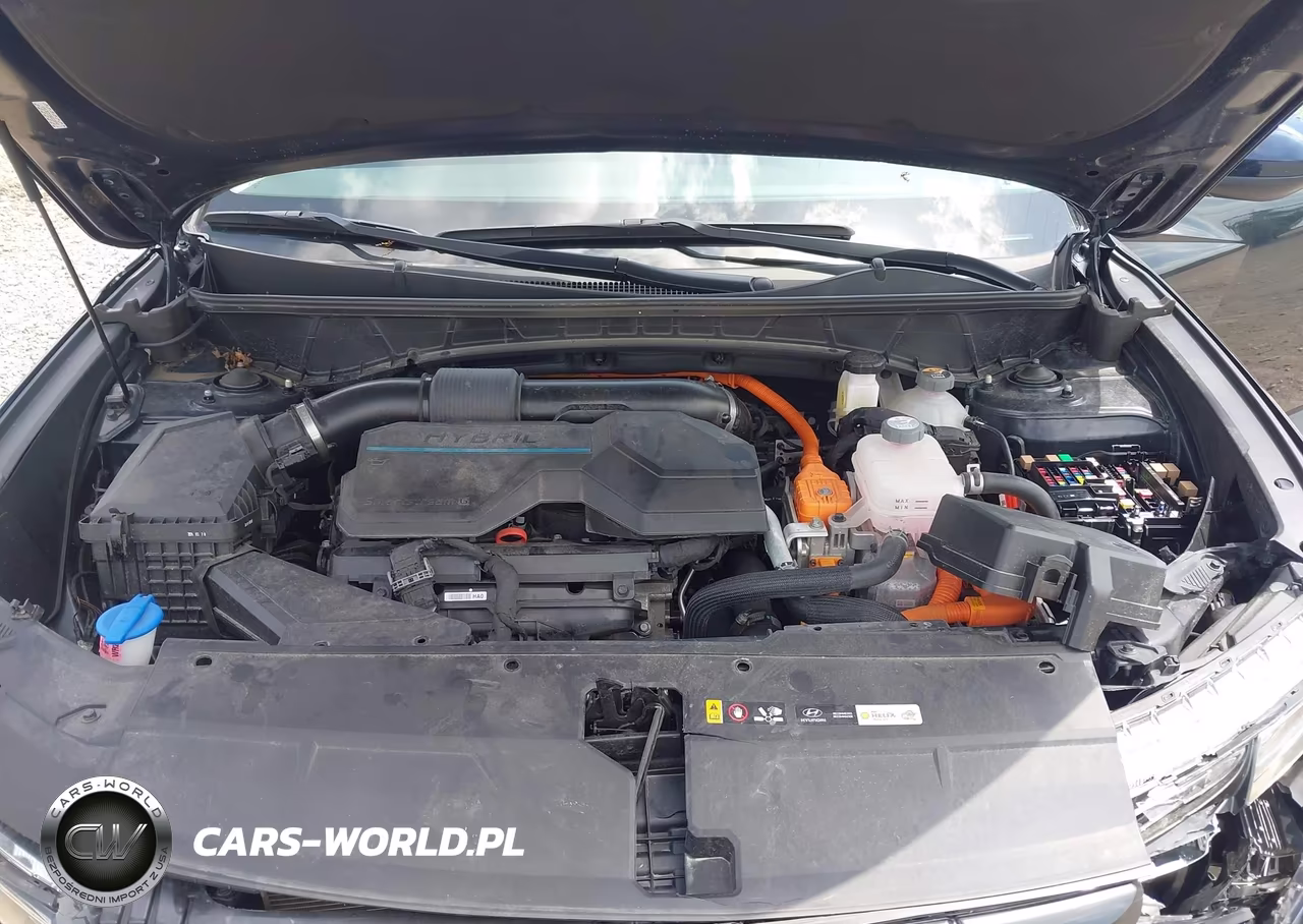 2024 Hyundai Tucson Hybrid Blue VIN:KM8JBCD10RU210747 - 10