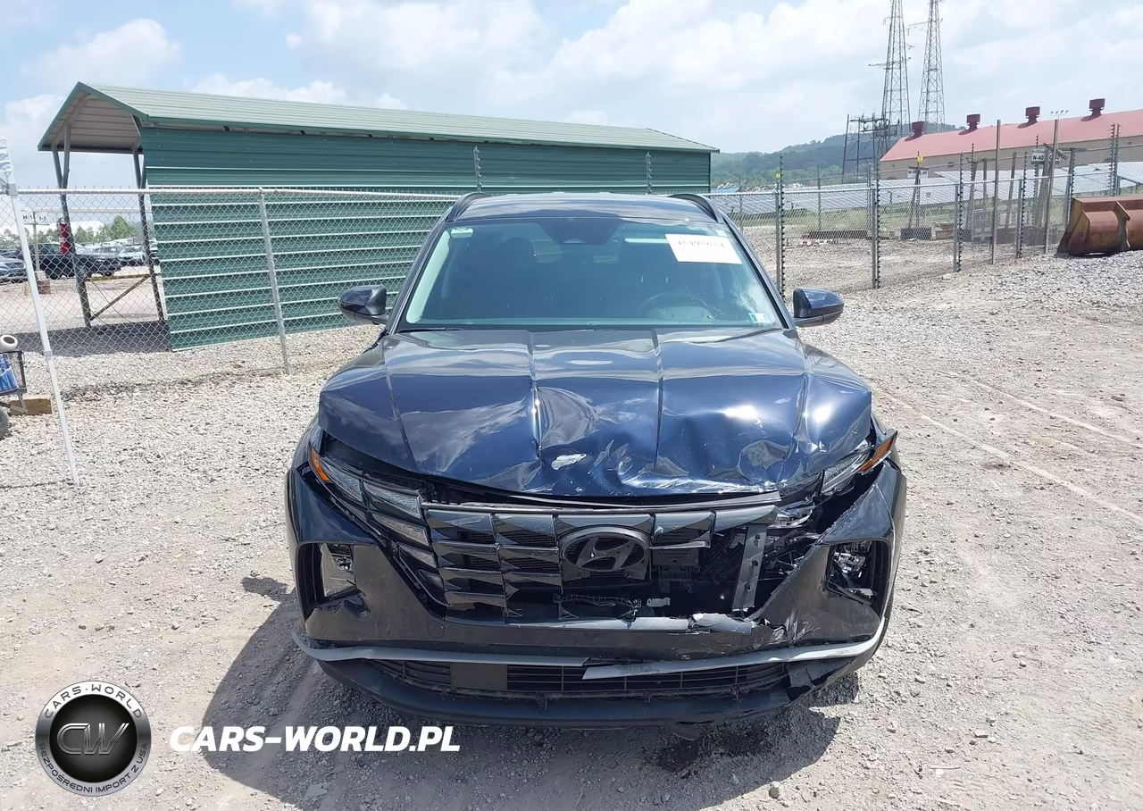 2024 Hyundai Tucson Hybrid Blue VIN:KM8JBCD10RU210747 - 12