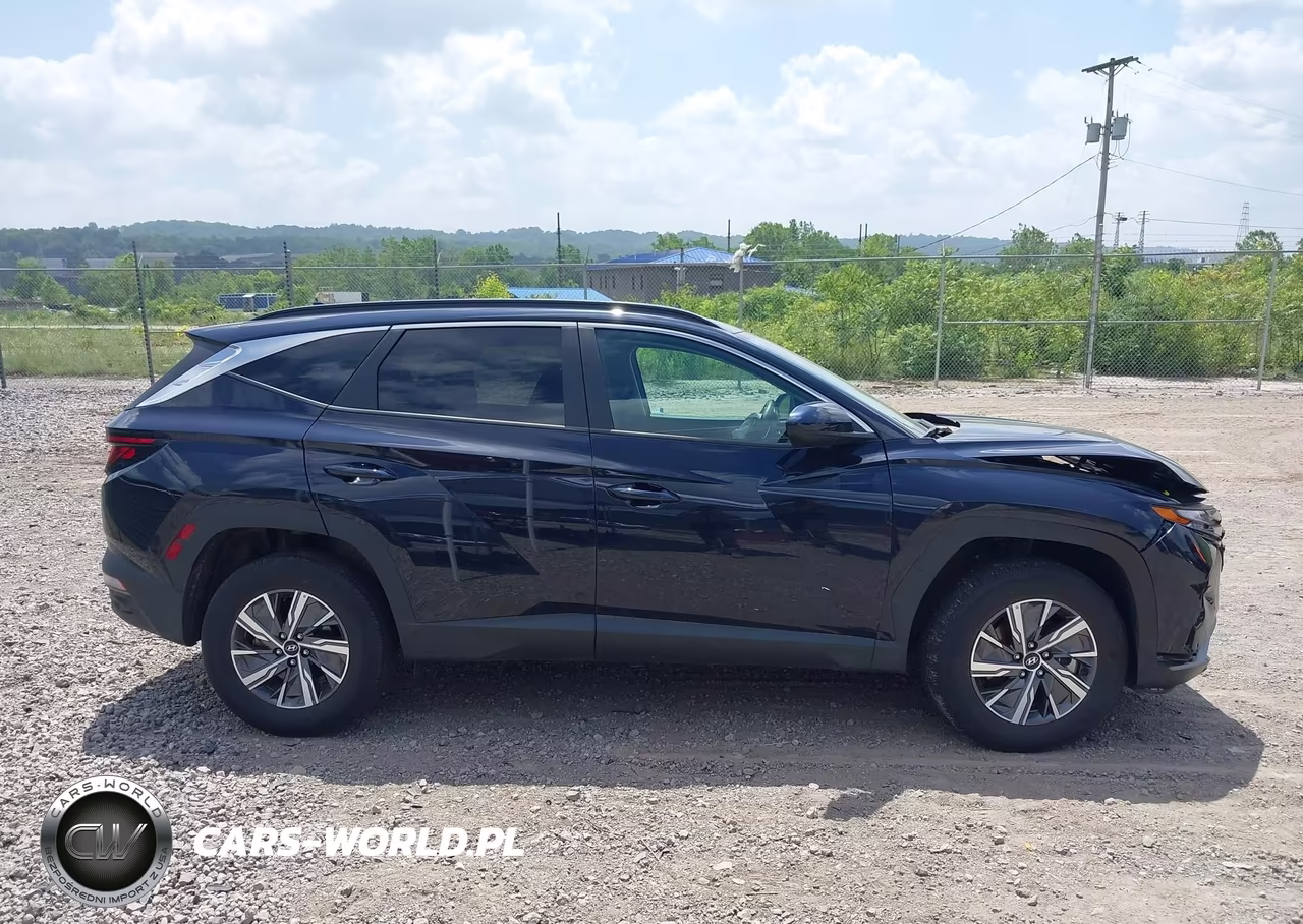 2024 Hyundai Tucson Hybrid Blue VIN:KM8JBCD10RU210747 - 13