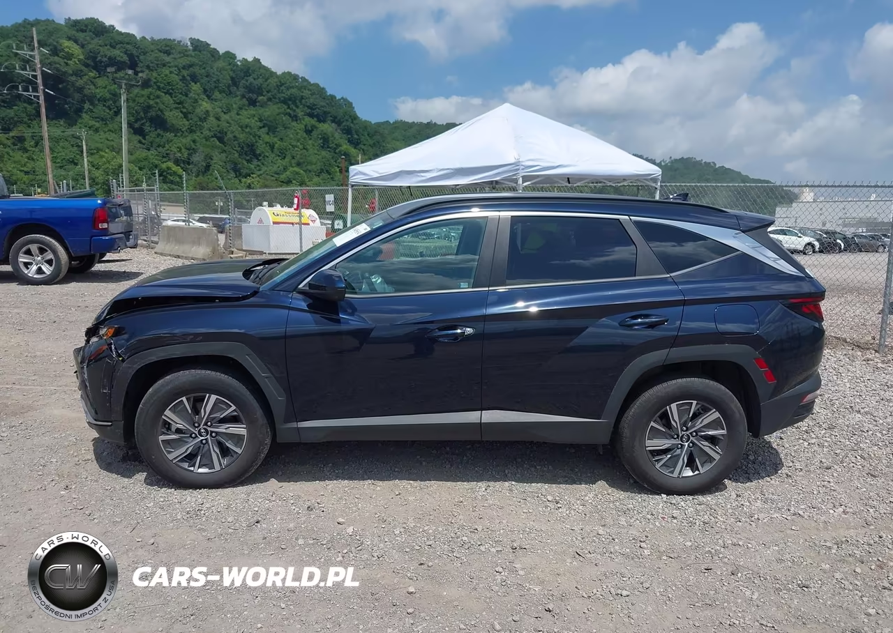 2024 Hyundai Tucson Hybrid Blue VIN:KM8JBCD10RU210747 - 14