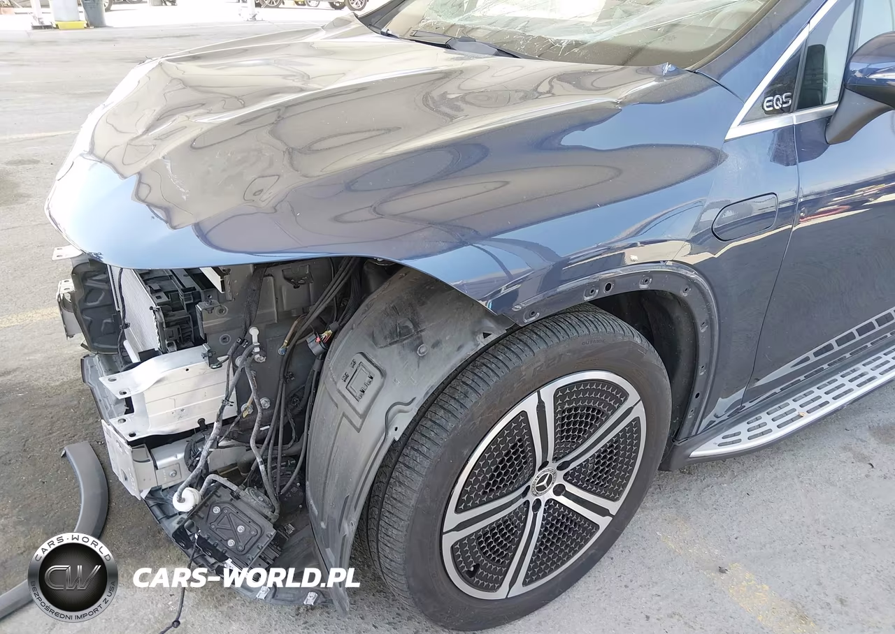 2023 Mercedes-Benz Eqs 450+ Suv VIN:4JGDM2DB9PA027999 - 21