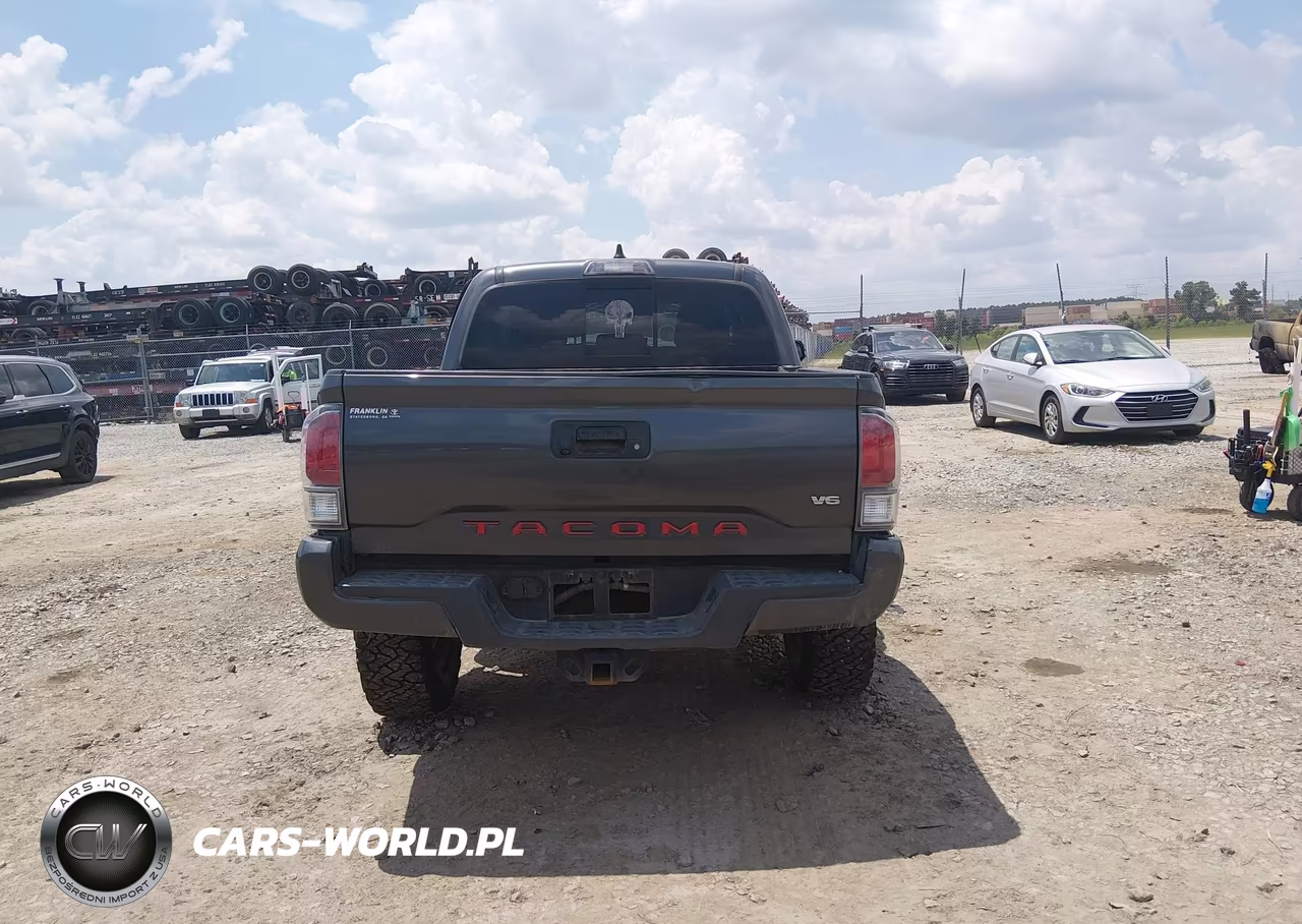 2020 Toyota Tacoma Trd Sport VIN:3TMCZ5AN2LM327480 - 17