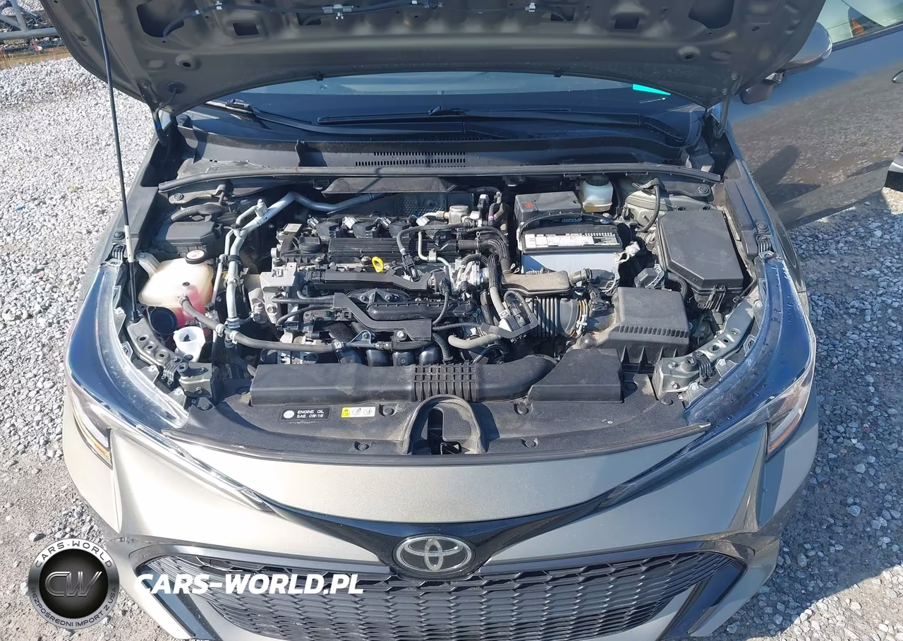2019 Toyota Corolla Se VIN:JTNK4RBE2K3041236 - 10